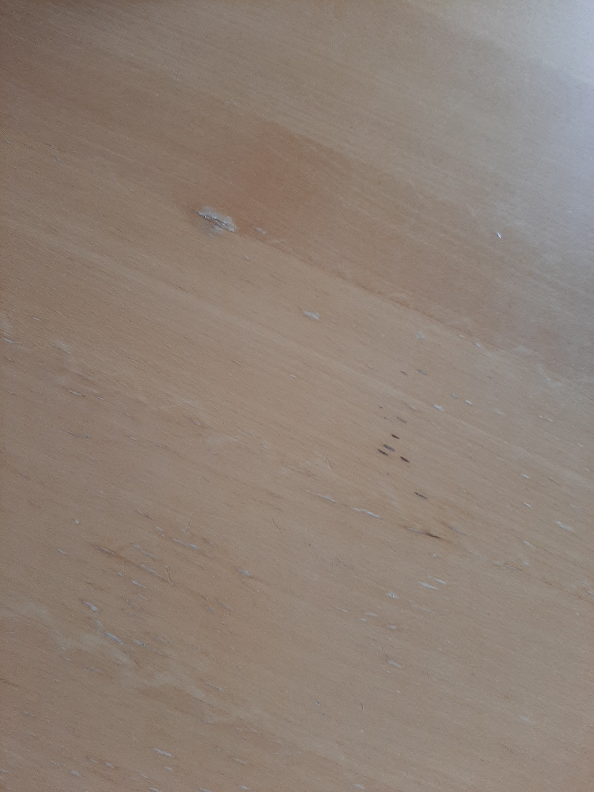 20200830_182937.jpg
