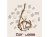 Čar lesa 