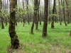 LIFE-IP NATURA.SI