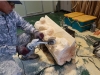 Power Carving za začetnike