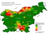 Poškodbe gozdov zaradi podlubnikov 