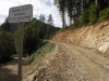 Gozdarska inšpekcija