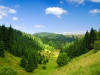 Slovenski gozdovi