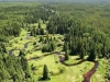 Iglavci